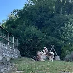 Maison En Pierre * Fiastra