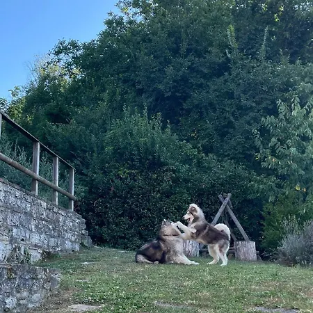 Maison En Pierre * Fiastra