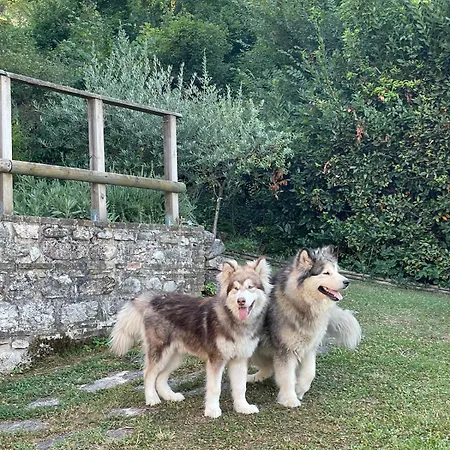 Chalet Maison En Pierre