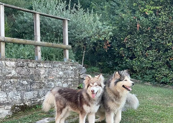 Chalet Maison En Pierre